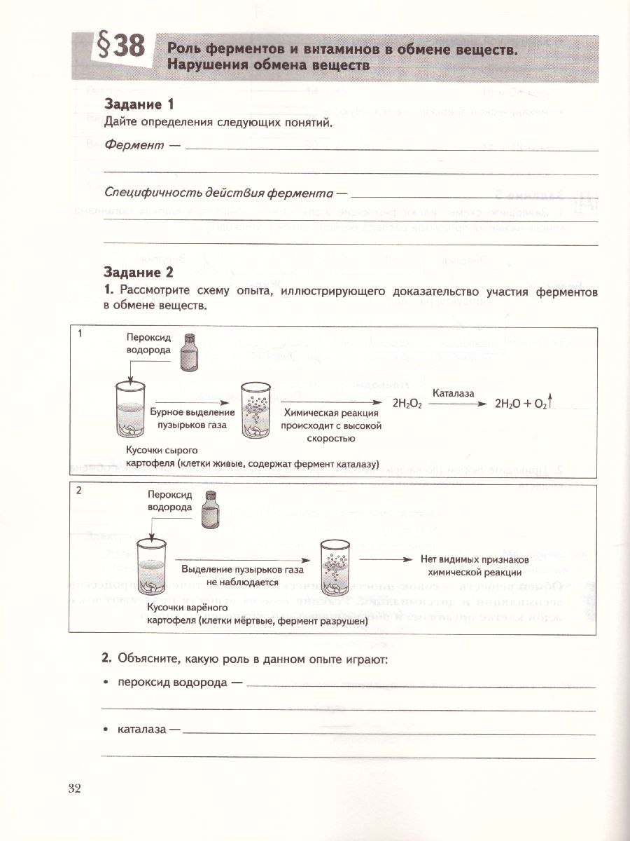 картинка Биология 8 класс. Рабочая тетрадь №2. ФГОС от магазина Рослит