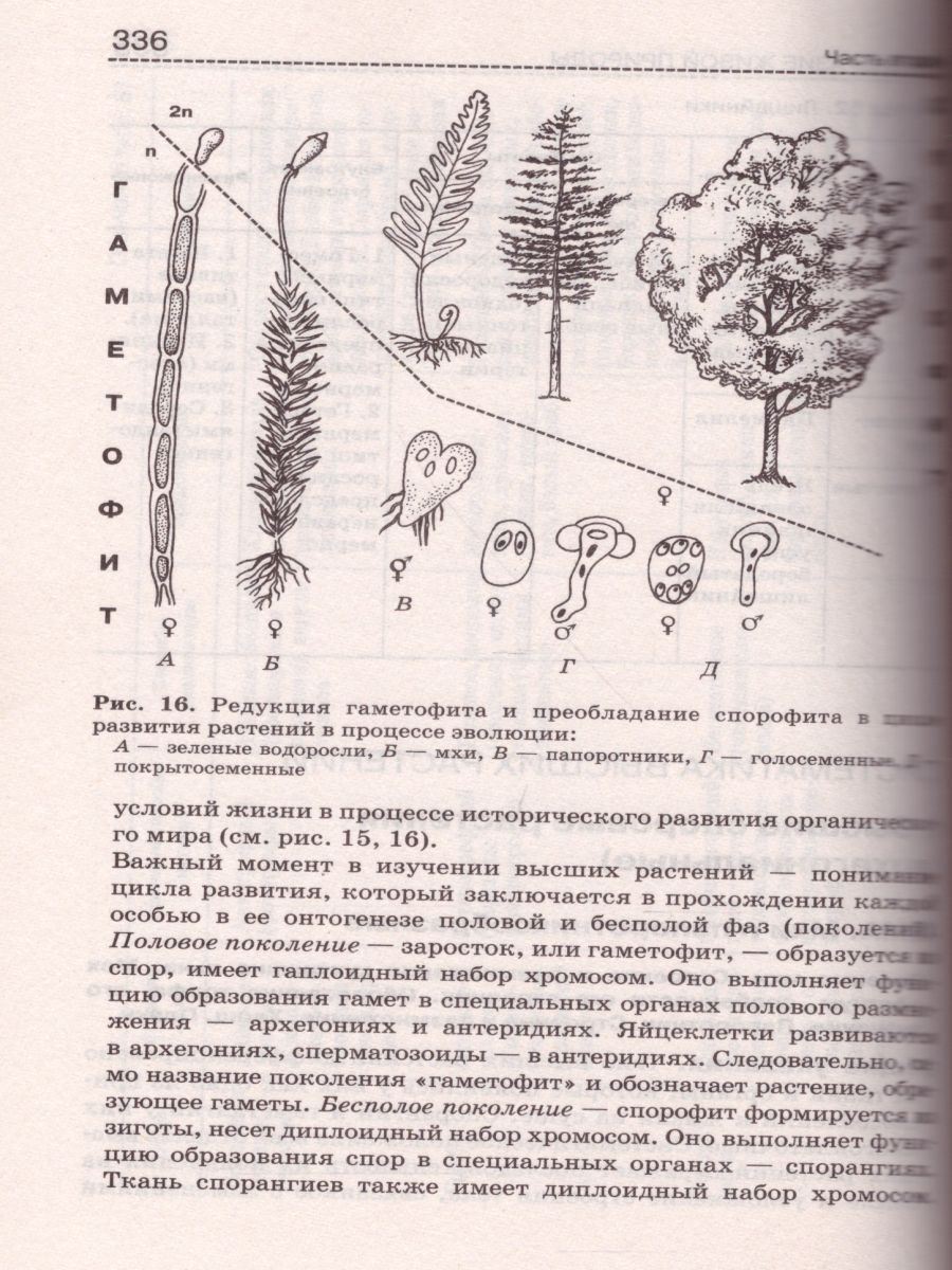 Обложка книги Биология. Справочник для школьников и поступающих в вузы. Курс подготовки к ГИА, ЕГЭ и дополнительным вступительным испытаниям в вузы, Автор Богданова Т.Л. Солодова Е.А., издательство АСТ-Пресс | купить в книжном магазине Рослит