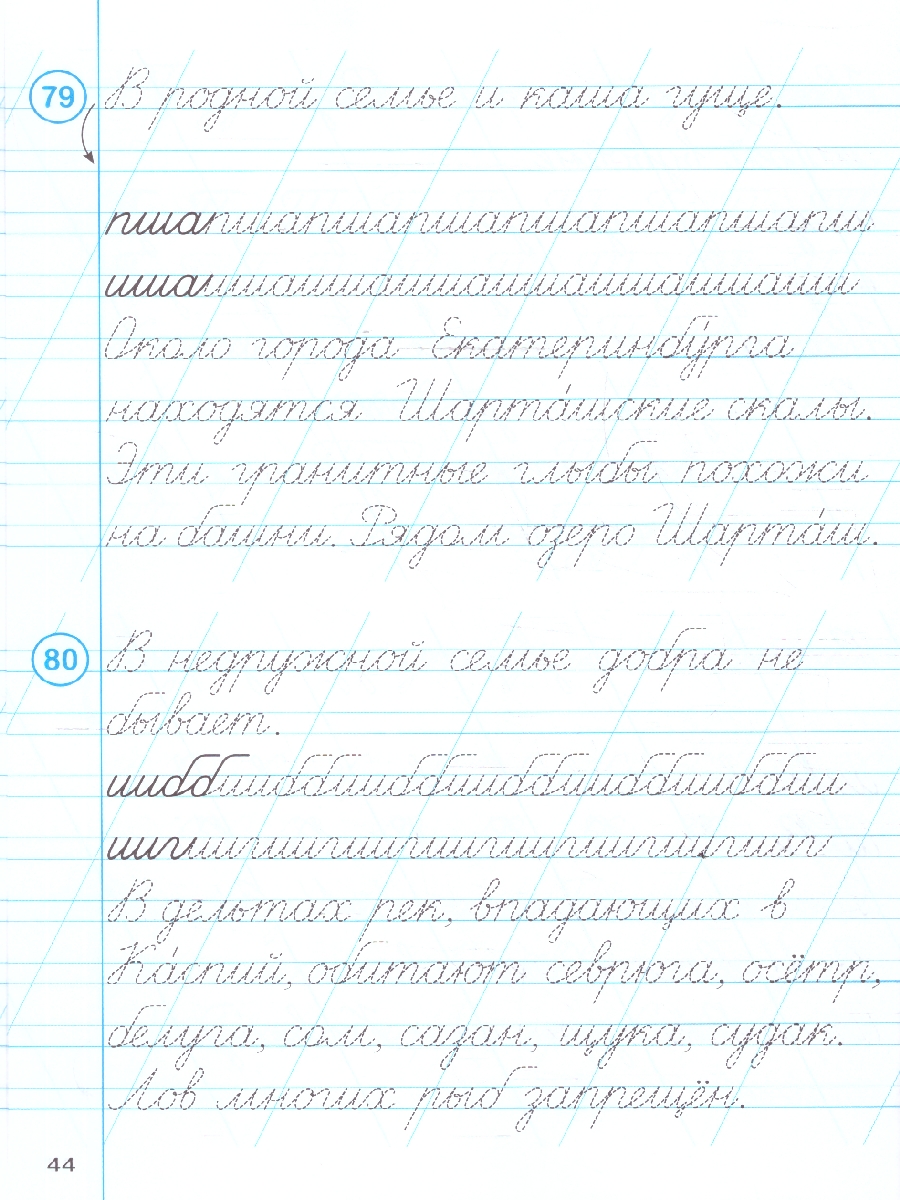Обложка книги Тренажер по чистописанию. Русский язык 2 класс. НОВЫЙ ФГОС, Автор Мурзина М.С., издательство ЛЕГИОН | купить в книжном магазине Рослит