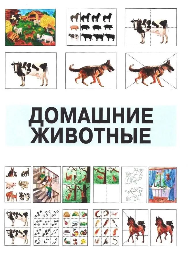 Обложка книги Развитие мыслительной деятельности у детей дошкольного возраста с ОВЗ (4-7 лет). Рабочая тетрадь № 3, Автор Спирева Е.Н., издательство Владос | купить в книжном магазине Рослит