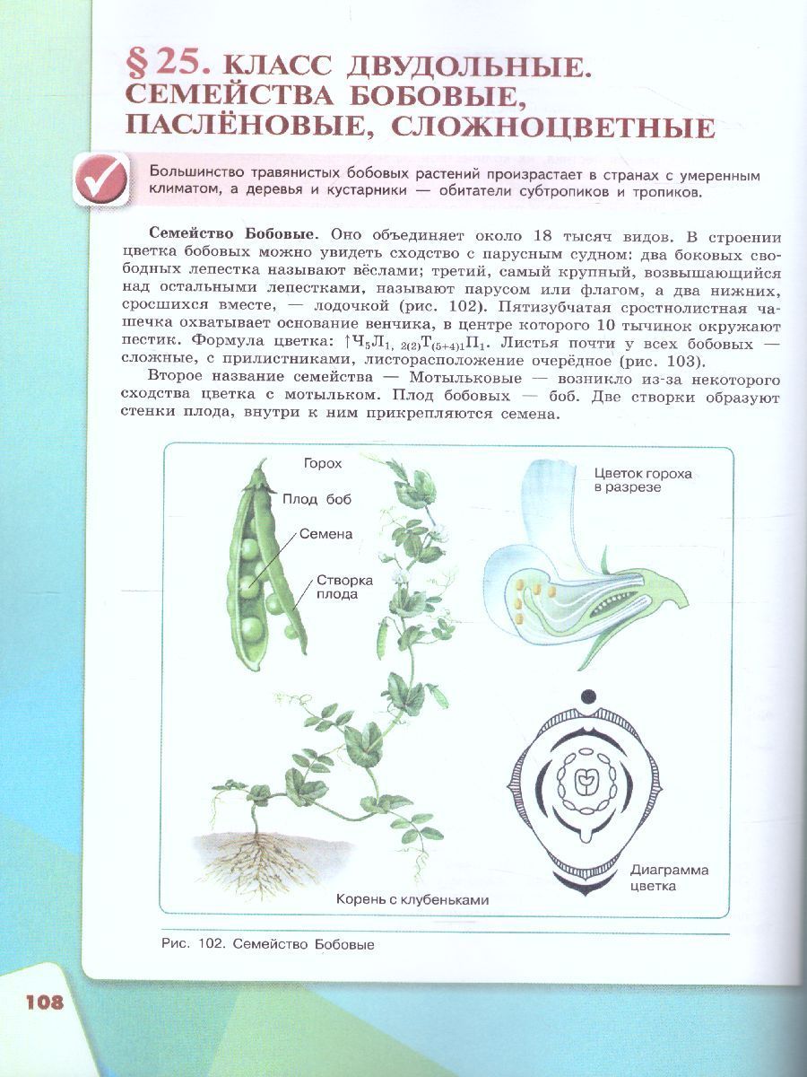 Обложка книги Биология 6 класс. Учебник, Автор Сивоглазов В.И. Плешаков А.А., издательство Просвещение | купить в книжном магазине Рослит