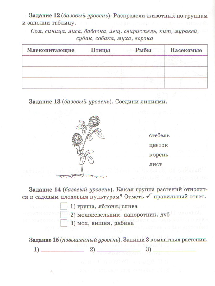 Обложка книги ВПР Русский язык Литературное чтение Математика Окружающий мир 2 класс. Контрольно-измерительные материалы. Стартовый, промежуточный и итоговый контроль зн, Автор Чистякова О.В. Шпак Е.В Толпинец С.Ю., издательство ЛИТЕРА | купить в книжном магазине Рослит