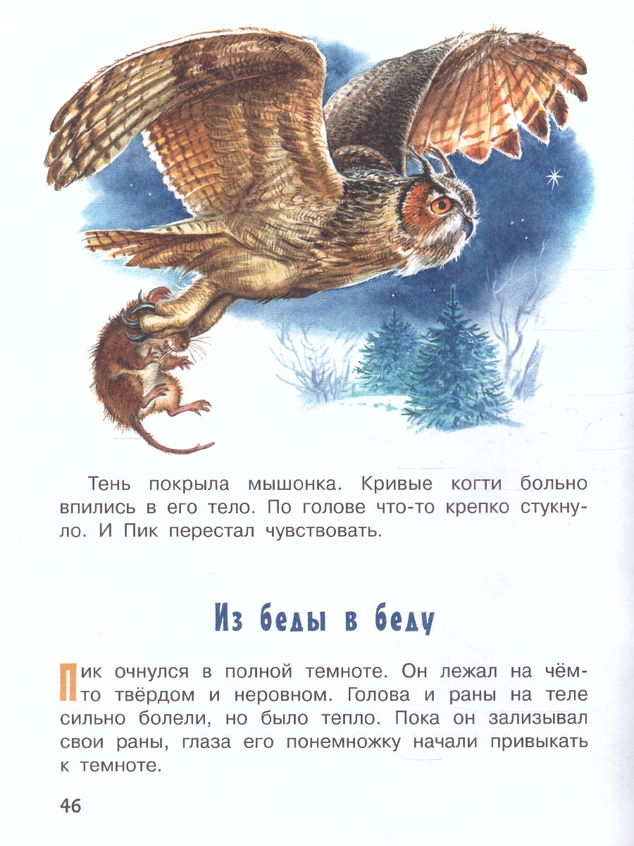 Обложка Мышонок Пик / ПервКнижки(о животных), издательство АСТ | купить в книжном магазине Рослит