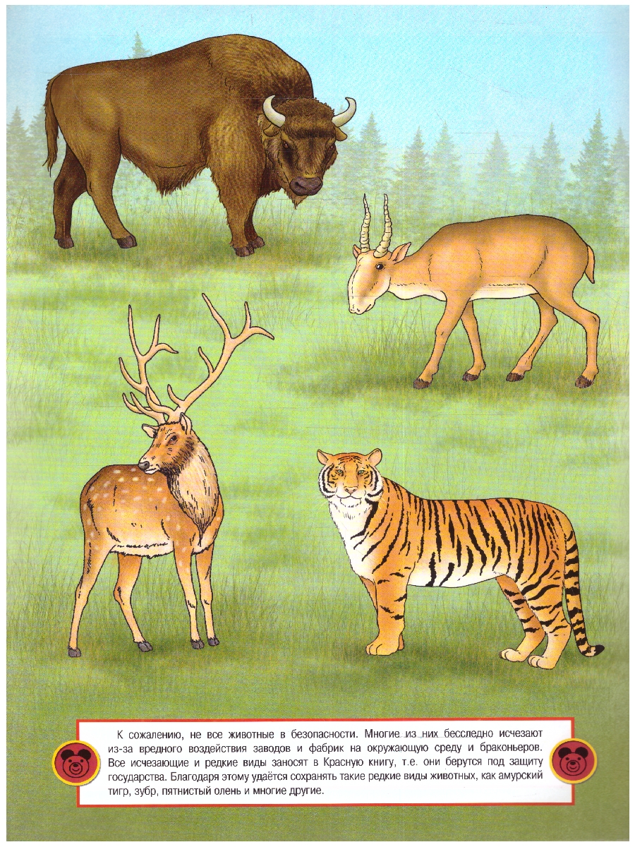 Обложка книги Книжка-раскраска с наклейками. Дикие животные, Автор , издательство РУЗ Ко | купить в книжном магазине Рослит