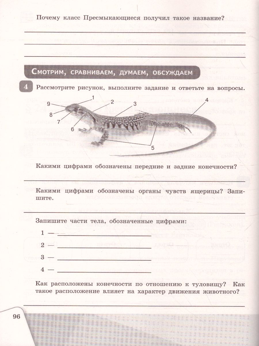 Обложка книги Биология 7 класс. Рабочая тетрадь, Автор Чередниченко И.П. Сивоглазов В.И., издательство Просвещение | купить в книжном магазине Рослит