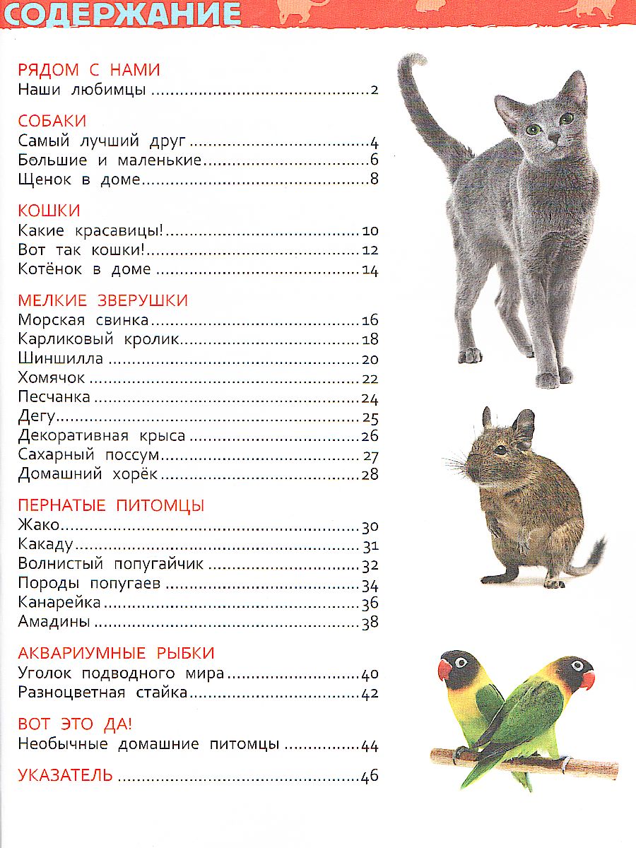 Обложка Домашние питомцы. Энциклопедия для детского сада, издательство РОСМЭН | купить в книжном магазине Рослит