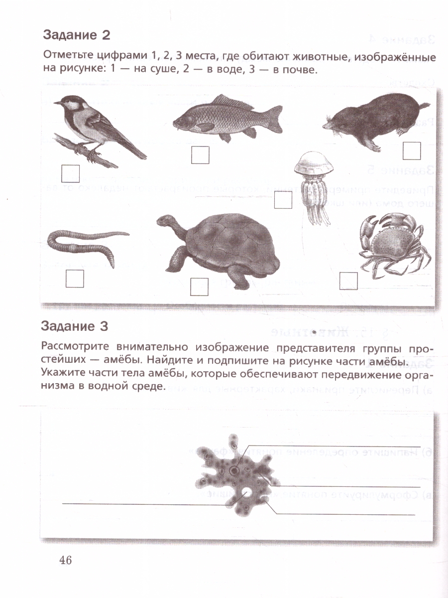 Обложка книги Биология 5 класс (линейный курс). Базовый уровень. Рабочая тетрадь. К новому учебному пособию. ФГОС, Автор Пономарева И. Н.; Корнилова О. А.; Симонова Л. В., издательство Просвещение | купить в книжном магазине Рослит