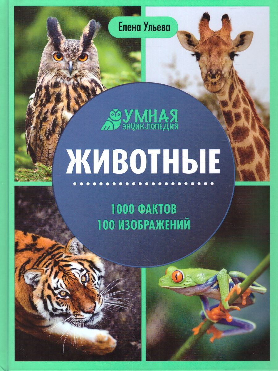 Обложка книги Животные: энциклопедия, Автор Ульева Е.А., издательство Феникс ТД                                          | купить в книжном магазине Рослит