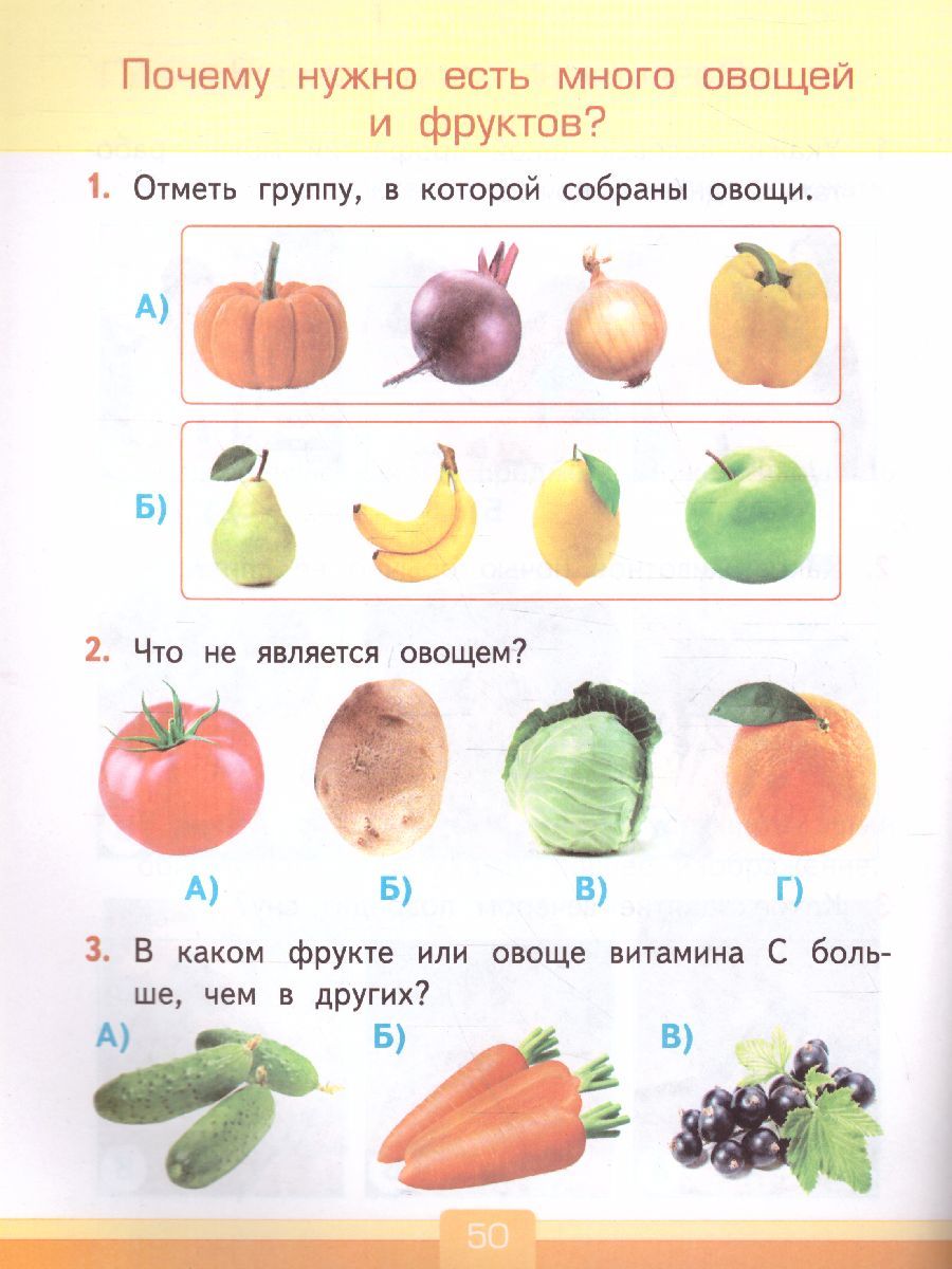 картинка Тесты по предмету Окружающий мир 1 класс. К учебнику А. А. Плешакова "Окружающий мир. 1 класс. В 2-х частях". ФГОС (к новому ФПУ) от магазина Рослит