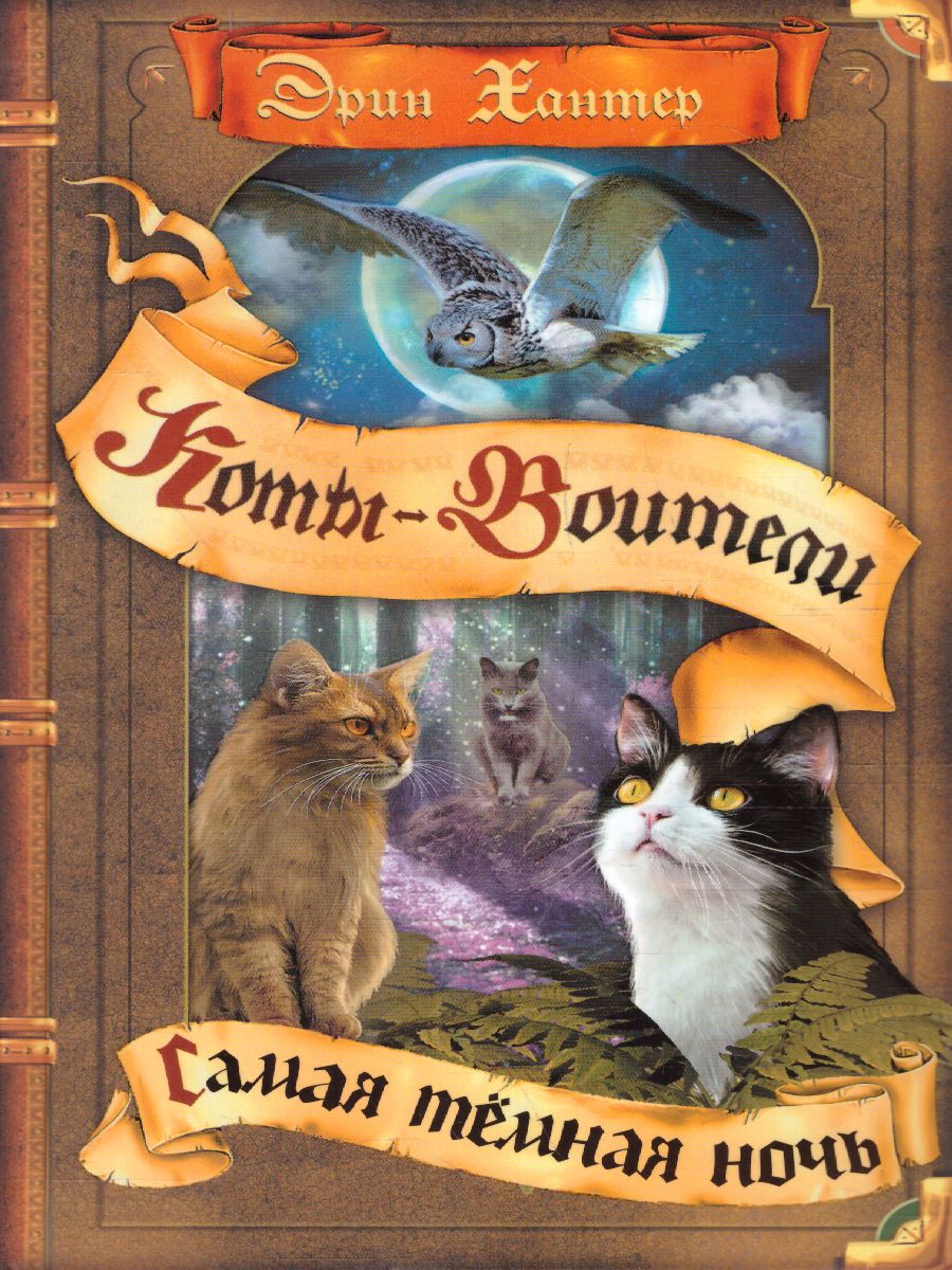 Обложка Коты-воители. Самая темная ночь, издательство Просвещение/Союз                                   | купить в книжном магазине Рослит