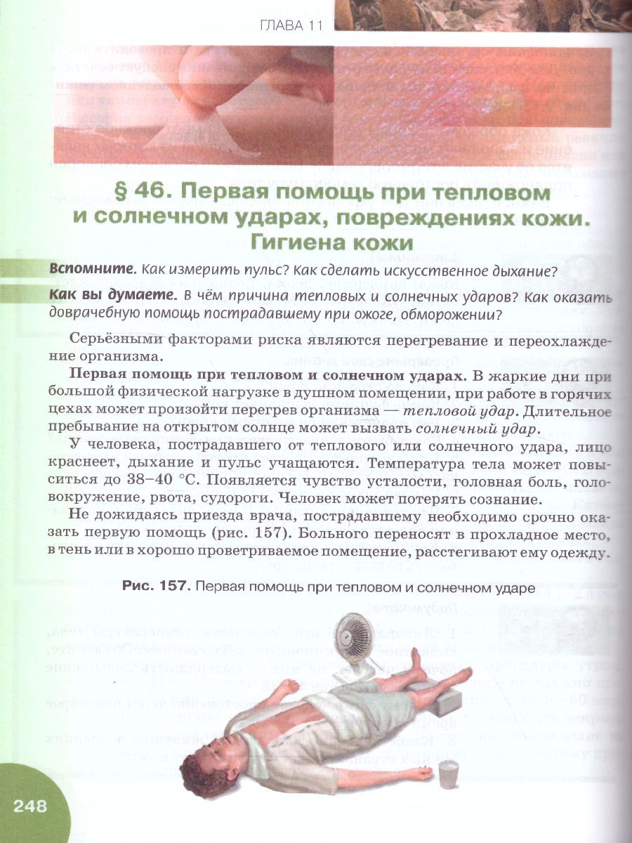 Обложка книги Биология 9 класс. Учебник, Автор Жемчугова М.Б. Романова Н.И. /Под ред. Криксунова, издательство Русское слово | купить в книжном магазине Рослит
