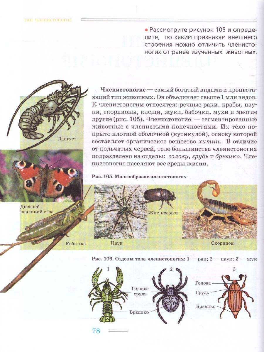 Обложка книги Биология 8 класс. Животные, Автор Никишов А.И. Шарова И.Х., издательство Владос | купить в книжном магазине Рослит