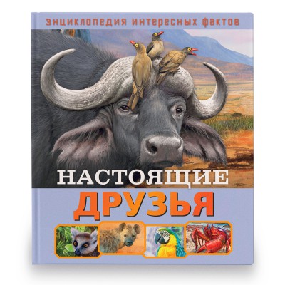 Обложка Я готовлюсь к школе. Готовим руку к письму. Развивающая книга, издательство НД Плэй                                            | купить в книжном магазине Рослит