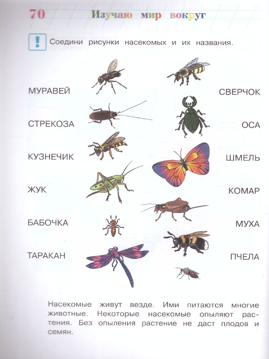 Обложка книги Изучаю мир вокруг. Для детей 5-6 лет, Автор Егупова В.А., издательство ЭКСМО | купить в книжном магазине Рослит