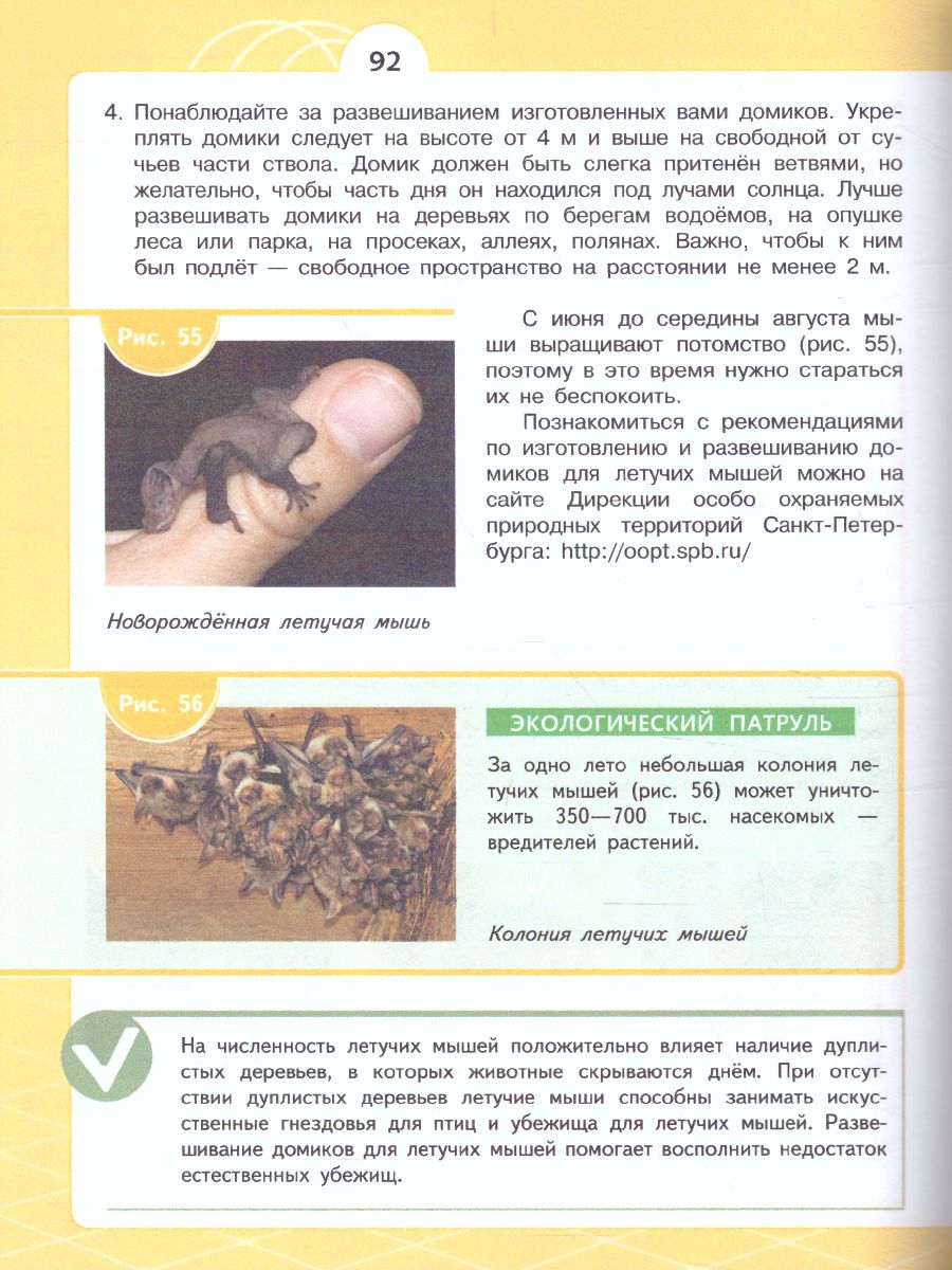 Обложка книги Чистая планета. Экологическая культура. 5 класс, Автор Алексашина И.Ю. Лагутенко О.И., издательство Просвещение | купить в книжном магазине Рослит