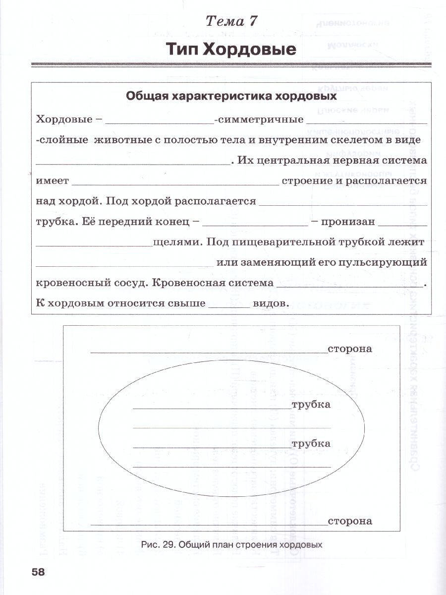 Обложка книги Биология 7 класс. Рабочая тетрадь. Животные, Автор , издательство ТЦУ | купить в книжном магазине Рослит
