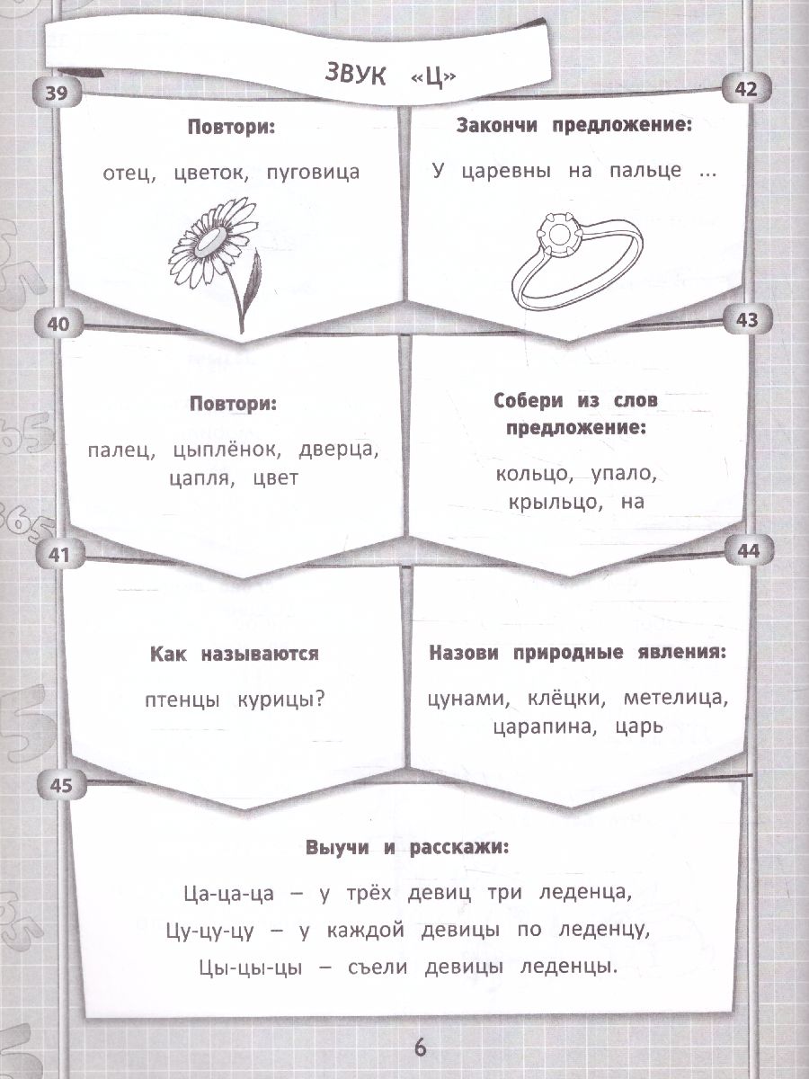 Обложка книги 365+5 логопедических заданий, Автор Мещерякова Л.В., издательство Феникс ТД                                          | купить в книжном магазине Рослит
