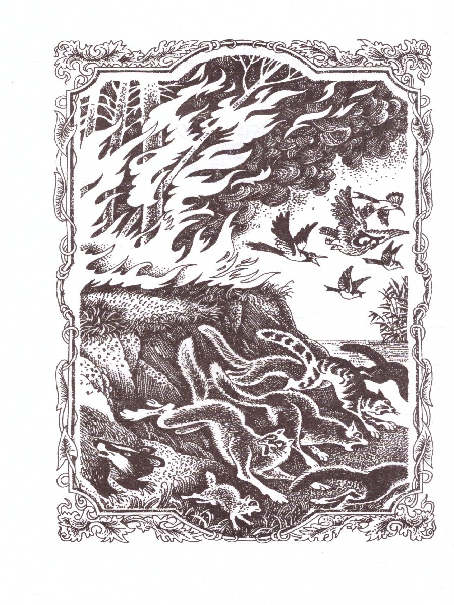 Обложка Коты-воители. Цикл "Воители". Бушующая стихия, издательство Просвещение/Союз                                   | купить в книжном магазине Рослит