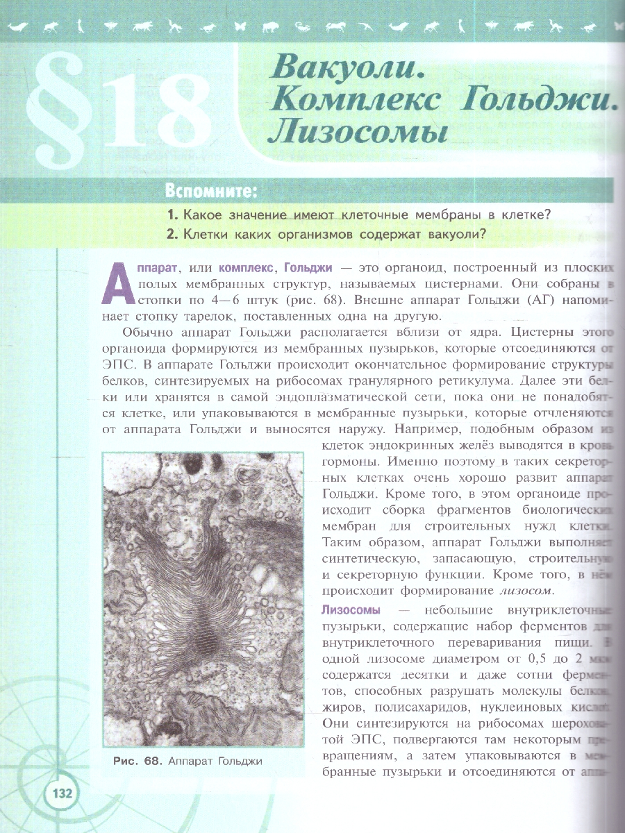 Обложка книги Пасечник (Линия жизни) Биология 10 кл. Базовый уровень. Учебник(ФП2022) (Просв.), Автор Пасечник В.В. Каменский А.А. Рубцов A.M., издательство Просвещение | купить в книжном магазине Рослит