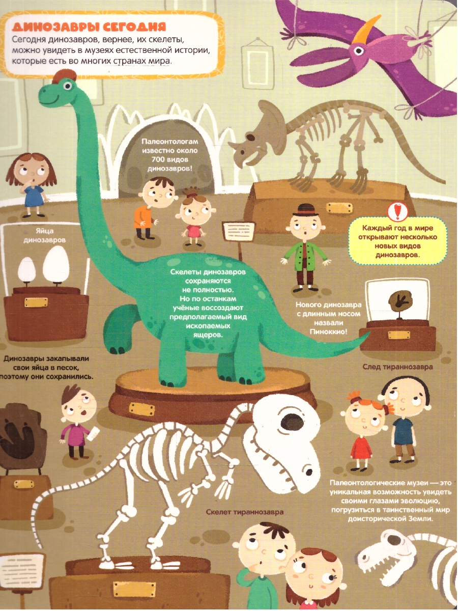 Обложка Динозавры. Слимэнциклопедия, издательство Маламалама                                         | купить в книжном магазине Рослит