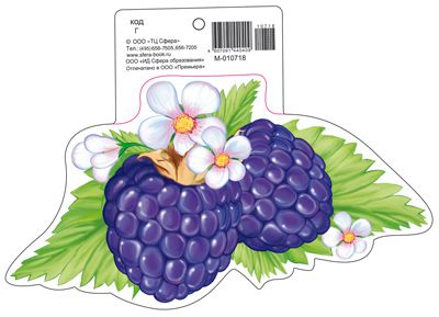 Обложка книги Вырубная фигурка Ежевика М-10718 (с УФ-лаком, 190х160 мм) (Сфера), Автор М-10718, издательство Сфера | купить в книжном магазине Рослит