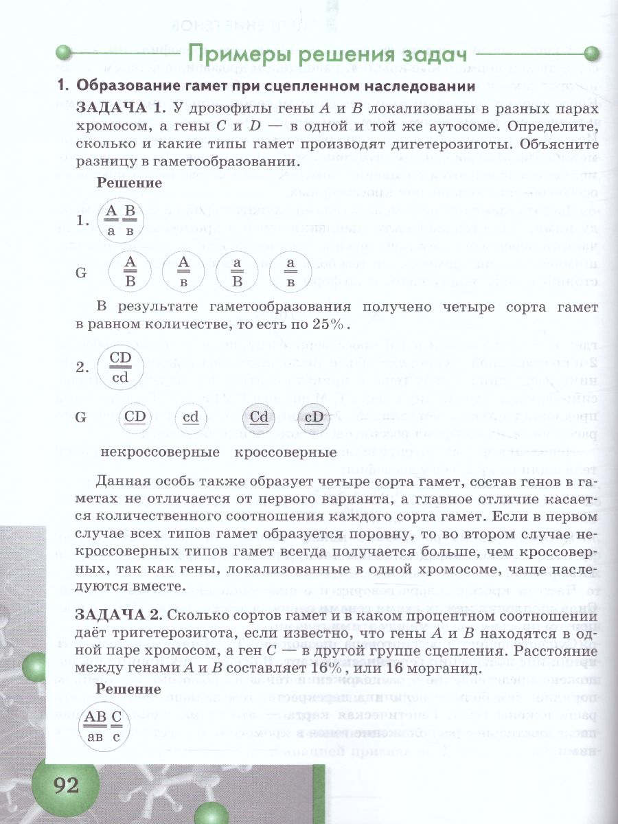 Обложка книги Задачи по молекулярной Биологии и Генетике 10-11 класс. Теория и практика, Автор Ермакова М.В. Захаров В.Б., издательство Русское слово | купить в книжном магазине Рослит