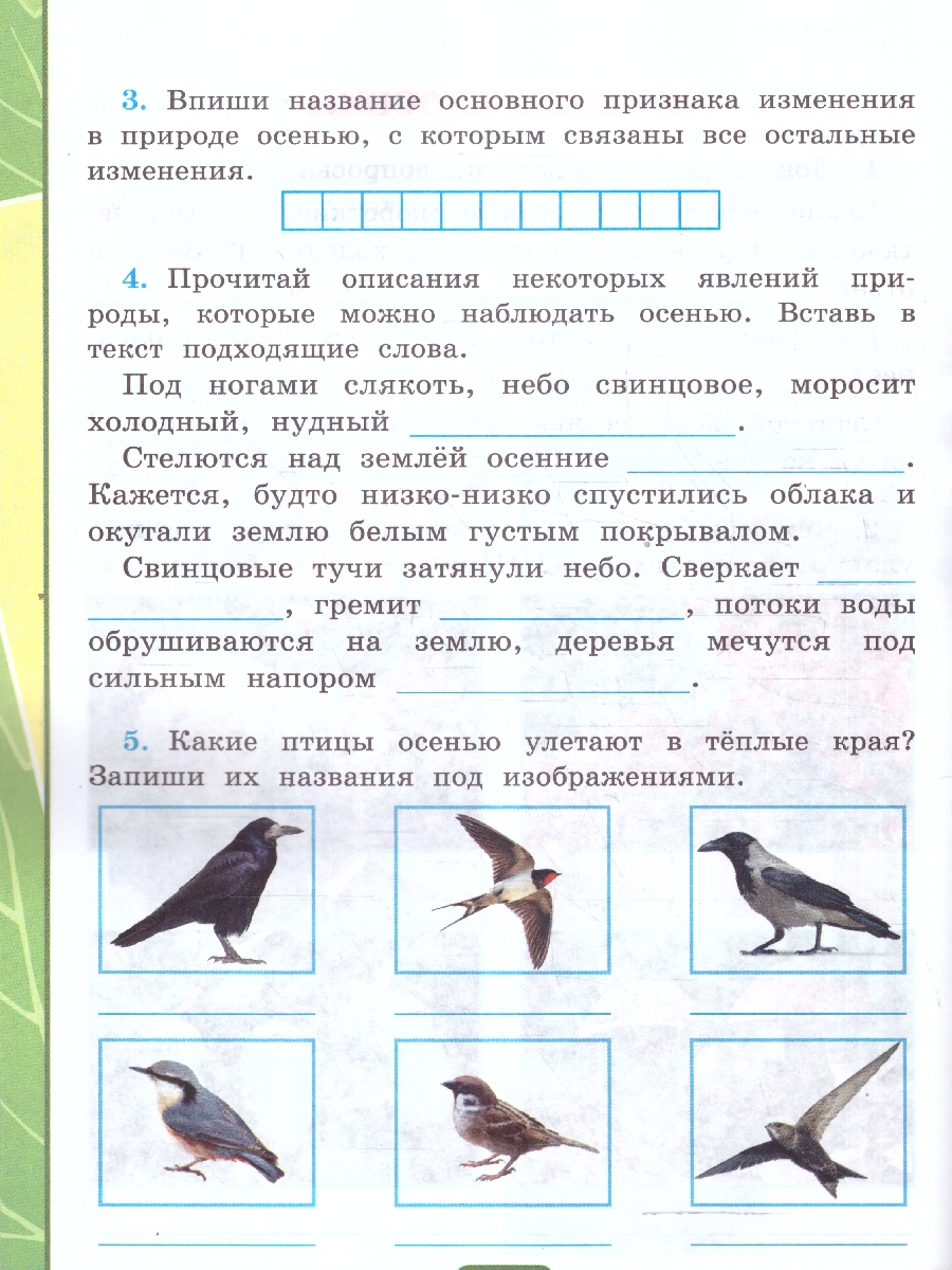 Обложка книги Окружающий мир 2 класс. Тетрадь для практических работ. Часть 1. ФГОС, Автор Тихомирова Е. М., издательство Экзамен | купить в книжном магазине Рослит