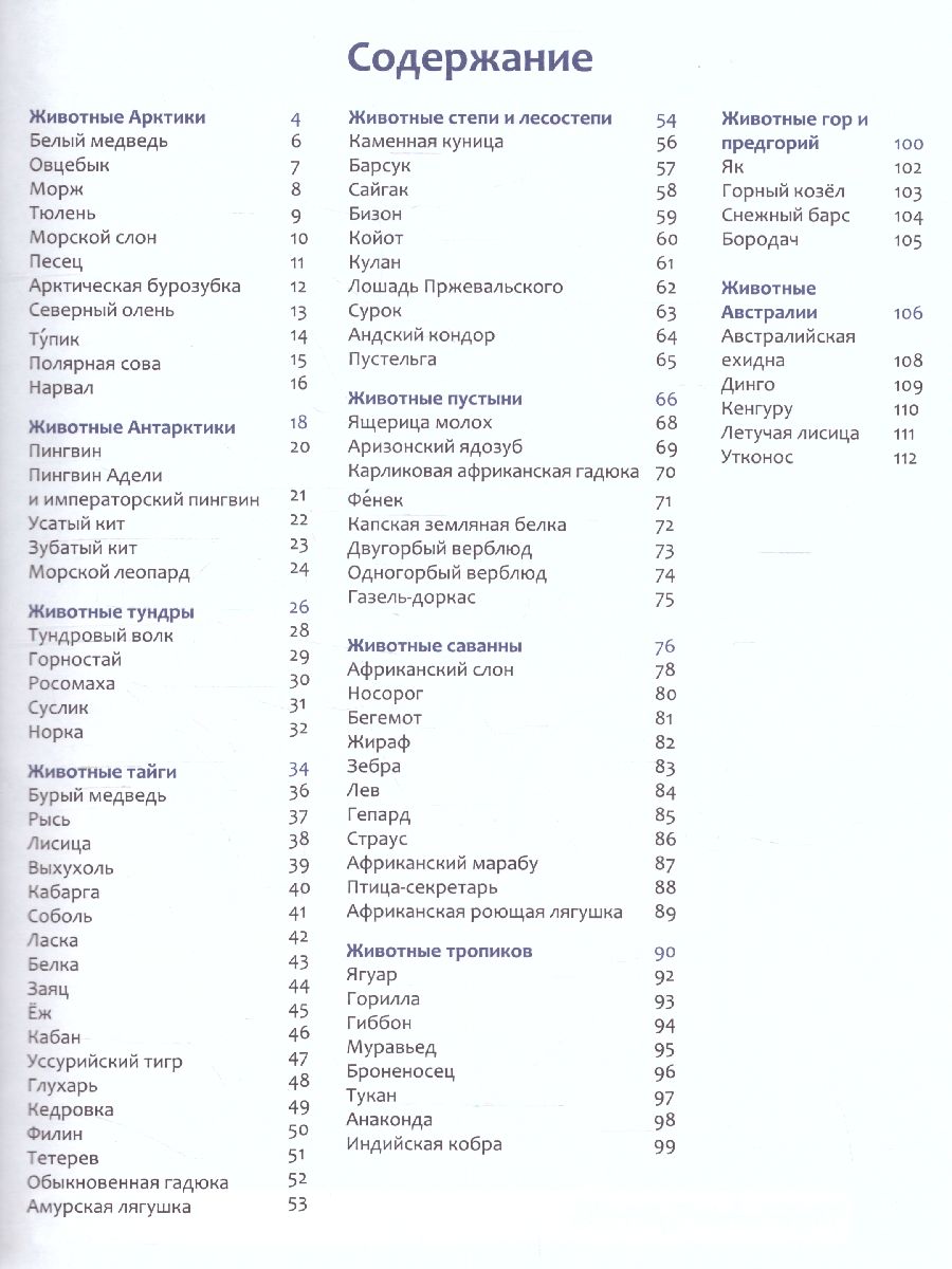 Обложка книги Животные: энциклопедия, Автор Ульева Е.А., издательство Феникс ТД                                          | купить в книжном магазине Рослит