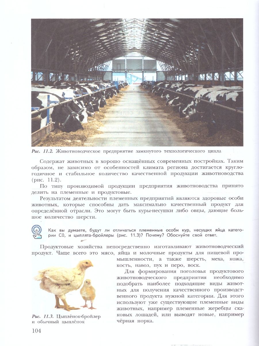 Обложка книги Труд (технология) 7-8 классы. Растениеводство и животноводство. Учебное пособие, Автор Заборская О.Ю. Логвинова О.Н., издательство Просвещение/Союз                                   | купить в книжном магазине Рослит