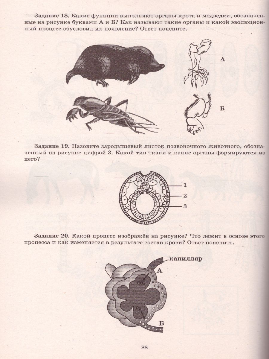 Обложка книги Биология. Решение задач повышенного и высокого уровня сложности, Автор Никишова Е.А. Манамшьян Т.А., издательство Издательство Интеллект-центр | купить в книжном магазине Рослит