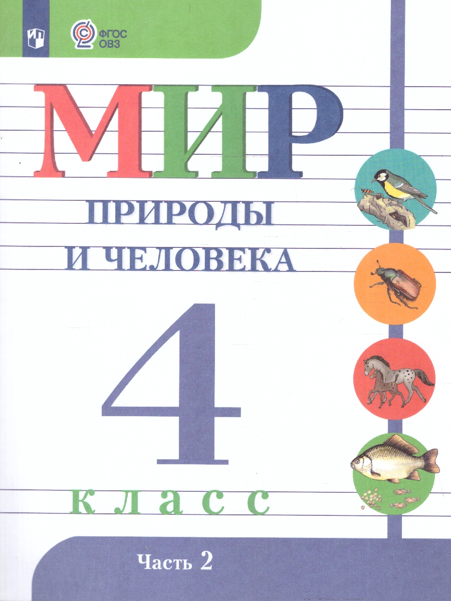 Обложка книги Мир природы и человека 4 класс. Учебник. В 2-х частях. ФГОС ОВЗ. Часть 2, Автор Матвеева Н.Б.;Ярочкина И.А.;Попова М.А., издательство Просвещение | купить в книжном магазине Рослит