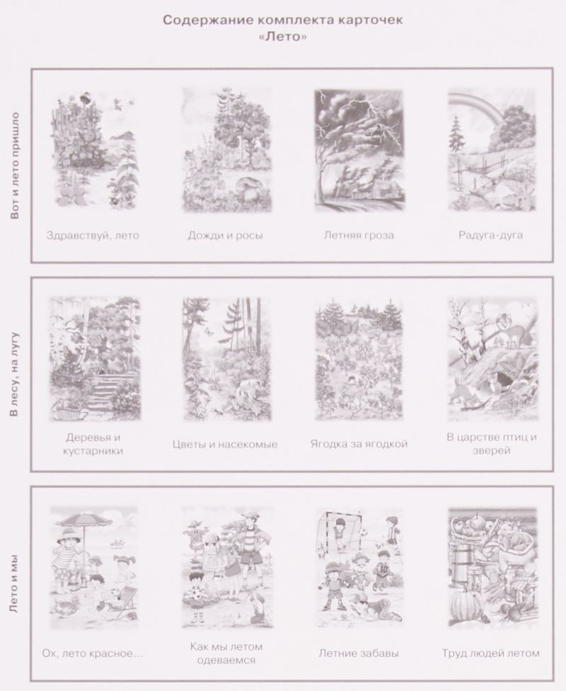 Обложка книги Беседы с ребенком. Лето. 12 картинок с текстом на обороте А5, Автор Шипунова В.А., издательство Сфера | купить в книжном магазине Рослит