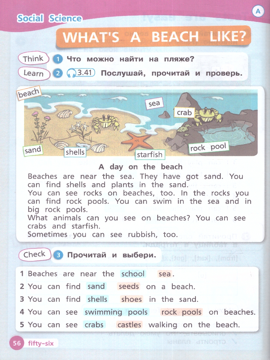 Обложка книги Английский язык 2 класс. Учебное пособие в 2-х частях. Часть 2, Автор Костюк Е.В. Колоницкая Л.Б., издательство Просвещение | купить в книжном магазине Рослит