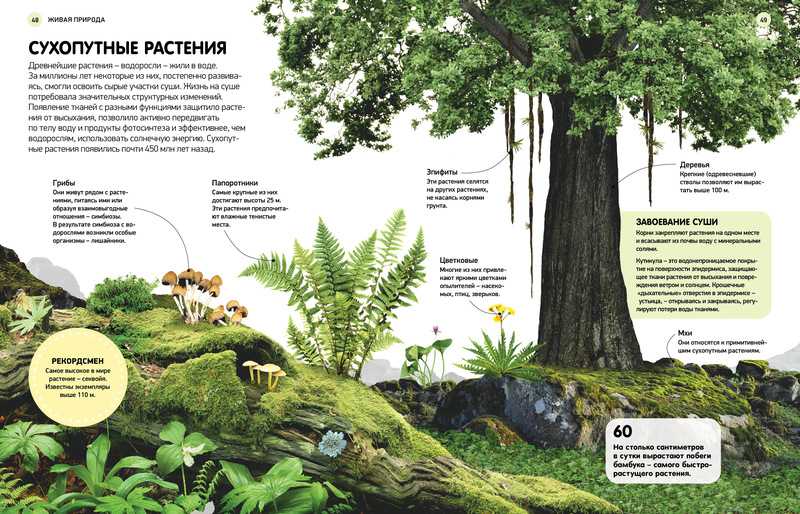 Обложка Детям обо всем на свете, издательство Махаон | купить в книжном магазине Рослит