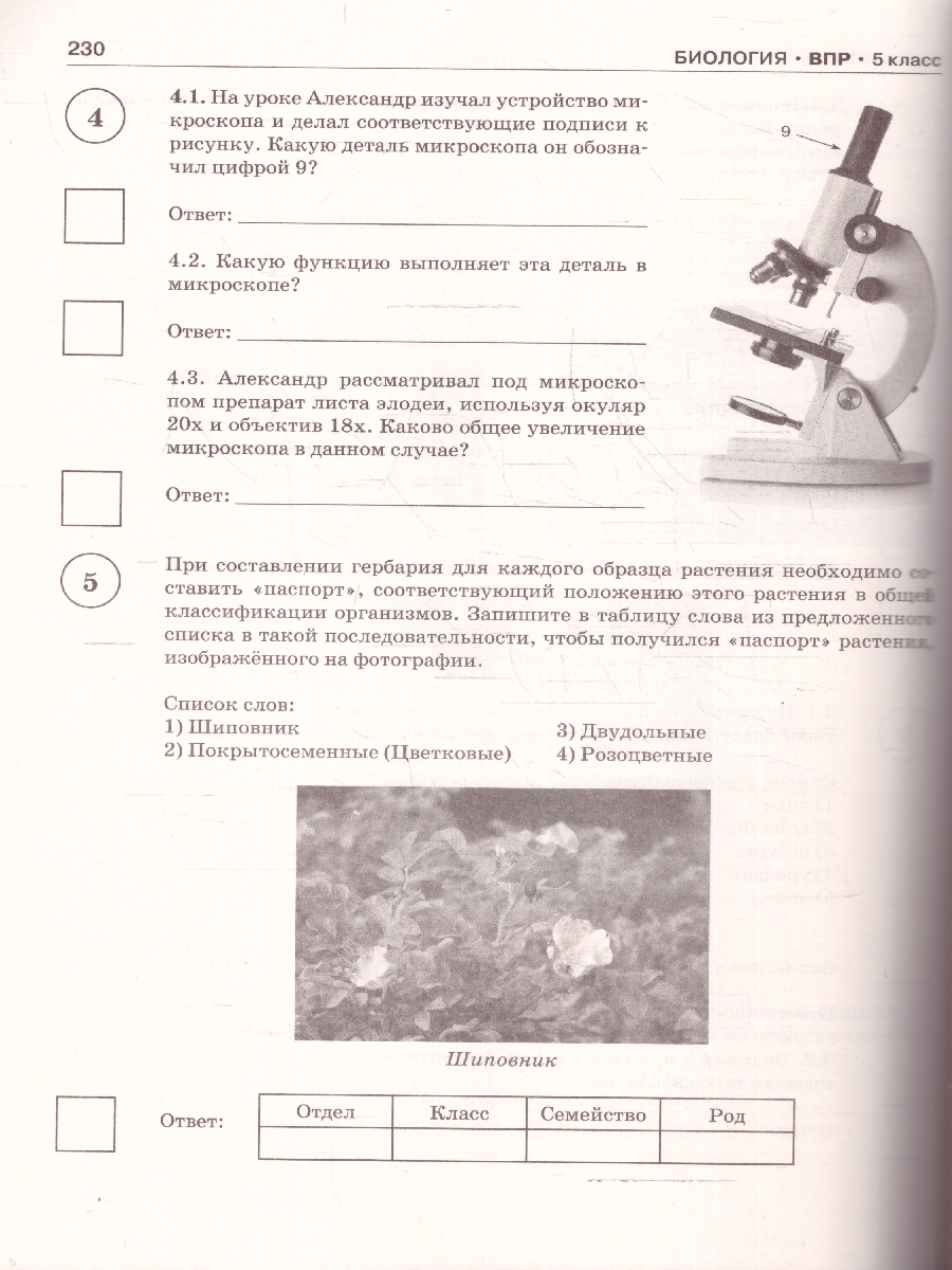 Обложка книги ВПР Русский язык Математика История Биология 5 класс. Сборник, Автор Степанова Л. С. Артасов И. А. Маталин А. В., издательство АСТ | купить в книжном магазине Рослит
