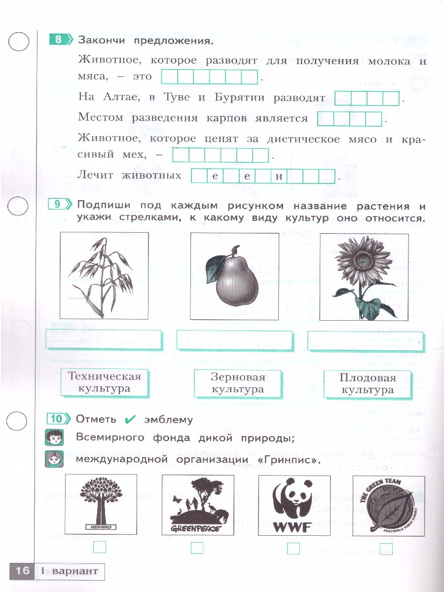 Обложка книги Окружающий мир 4 класс. Тетрадь проверочных работ. Часть 2. Что я знаю. Что я умею (ИД Федоров), Автор Тимофеева А.Е., издательство Просвещение/Союз                                   | купить в книжном магазине Рослит