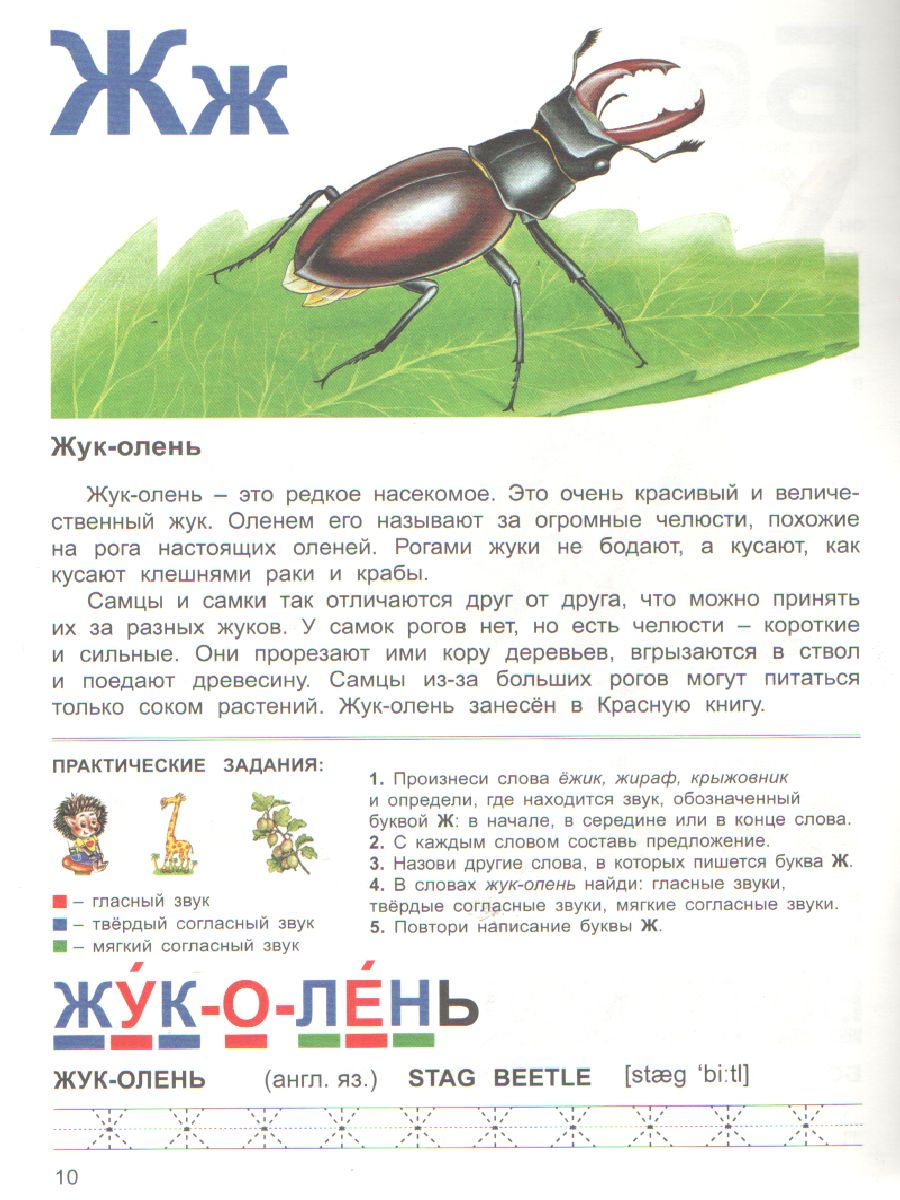 Обложка книги Тетрадь общения и развития детей "Насекомые-2", Автор , издательство Страна фантазий | купить в книжном магазине Рослит