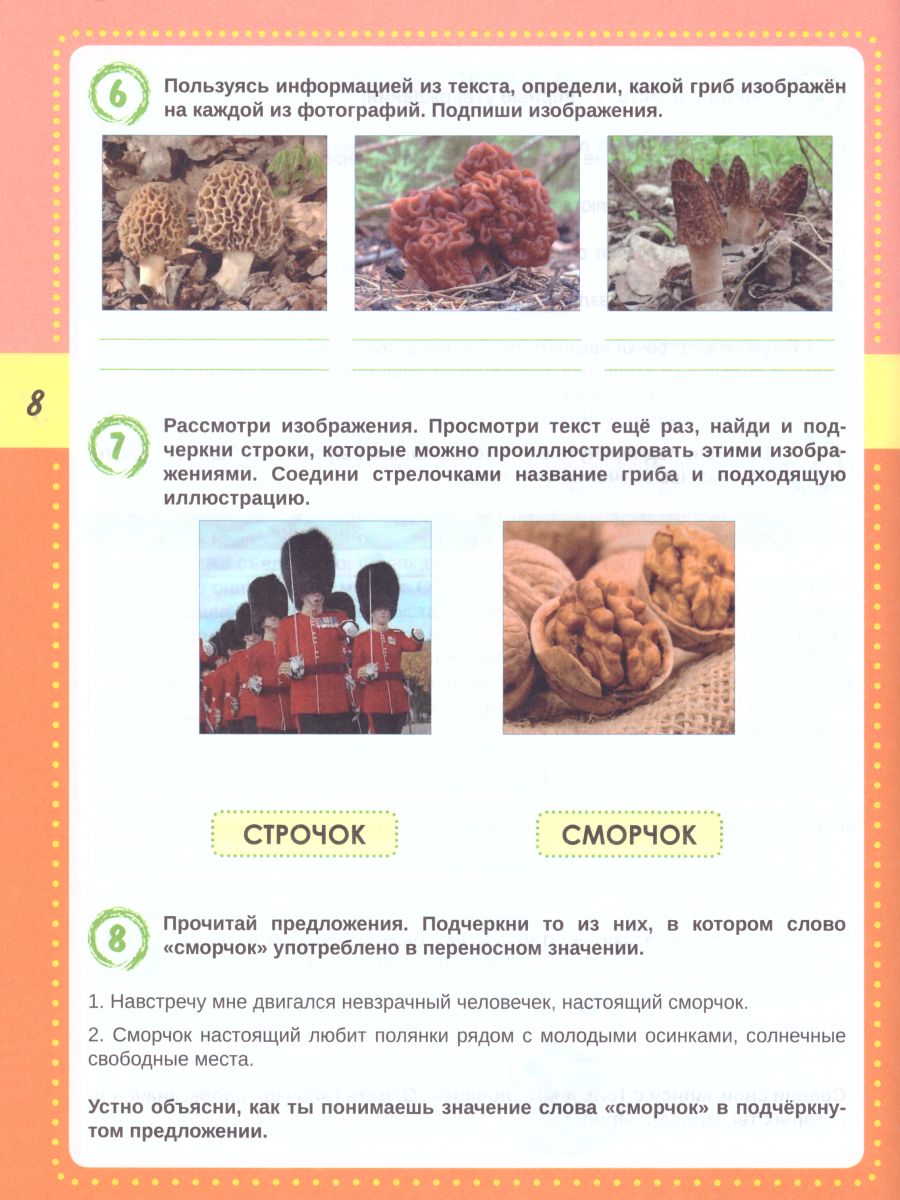 картинка Смысловое чтение. Тренажёр для школьников. 3 класс/А от магазина Рослит