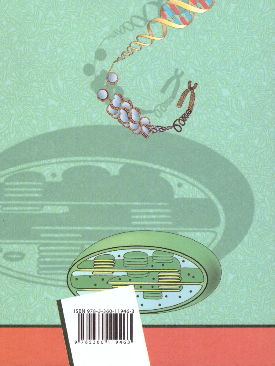 Обложка книги Биология 10 класс. Учебник. Базовый уровень. ФГОС, Автор Каменский А.А. Сарычева Н.Ю., издательство Просвещение/Союз                                   | купить в книжном магазине Рослит