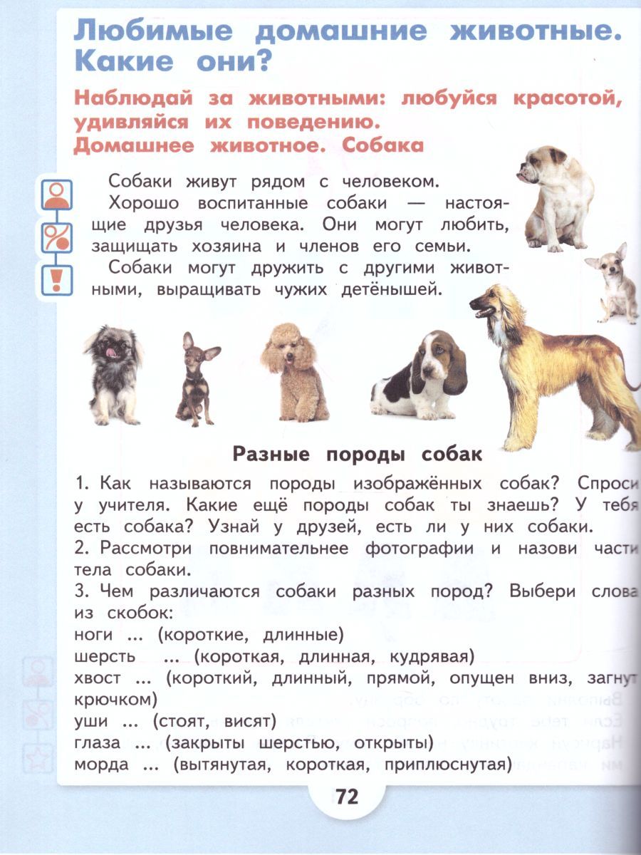 Обложка книги Изобразительное искусство 2 класс. Учебник. Для обучающихся с интеллектуальными нарушениями. ФГОС, Автор Рау М.Ю. Зыкова М.А., издательство Просвещение | купить в книжном магазине Рослит