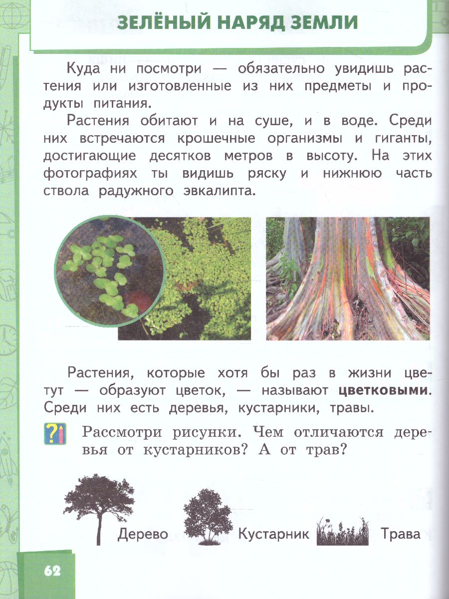 Обложка книги Окружающий мир 1 класс. Учебник. ФГОС, Автор Самкова В.А. Романова Н.Е., издательство Русское слово | купить в книжном магазине Рослит