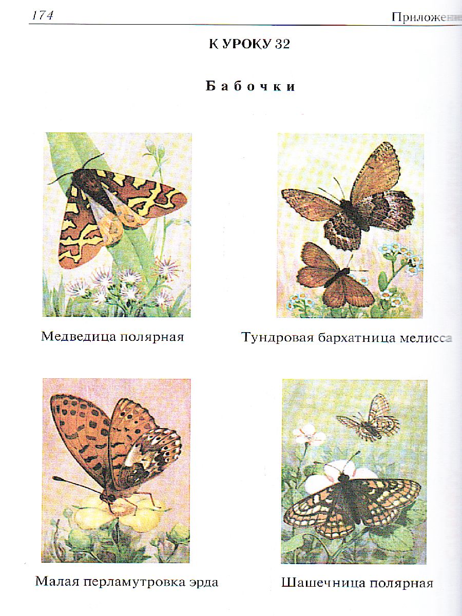 Обложка книги Поурочные разработки по Изобразительному искусству 1 класс. ФГОС, Автор Бушкова Л.Ю., издательство Вако | купить в книжном магазине Рослит