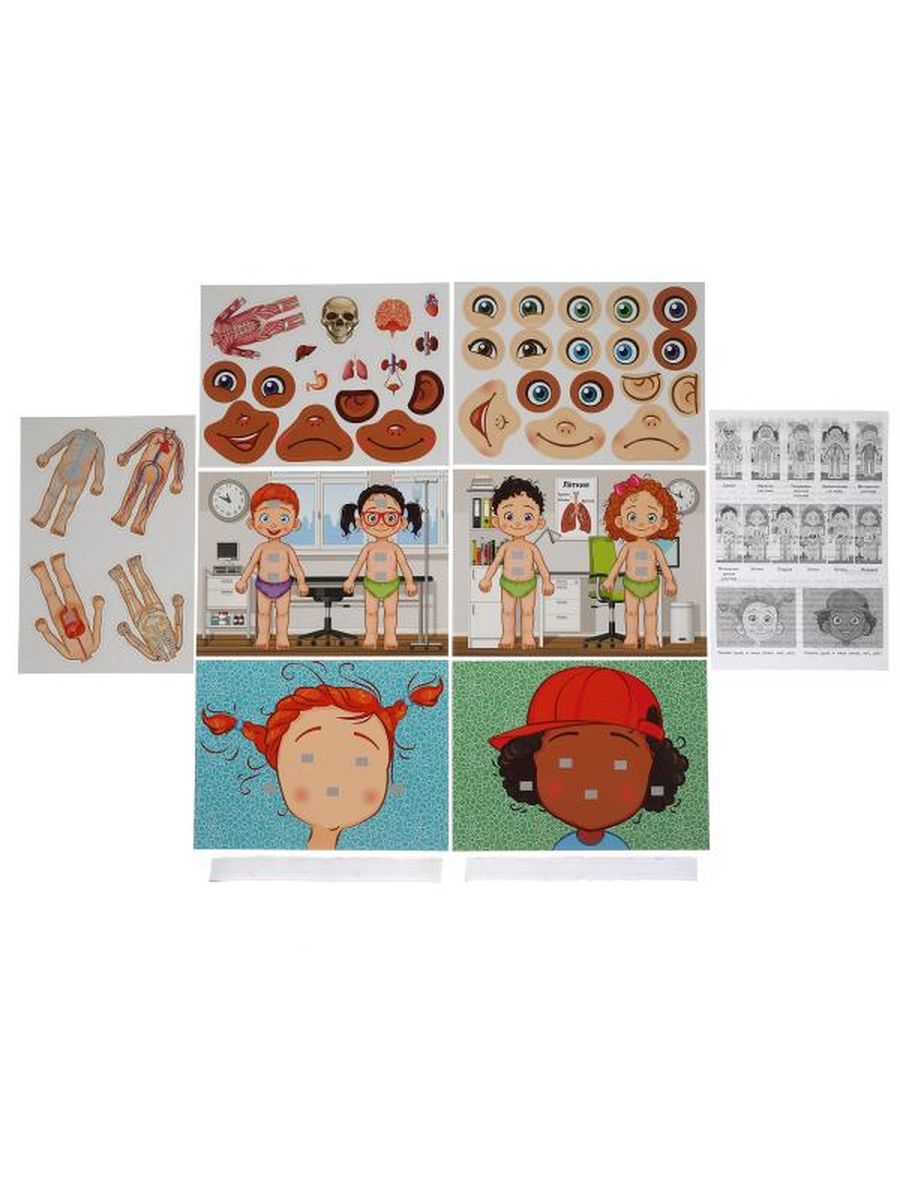 Обложка Играь развивающая.  Тело человека., издательство Умные игры                                         | купить в книжном магазине Рослит