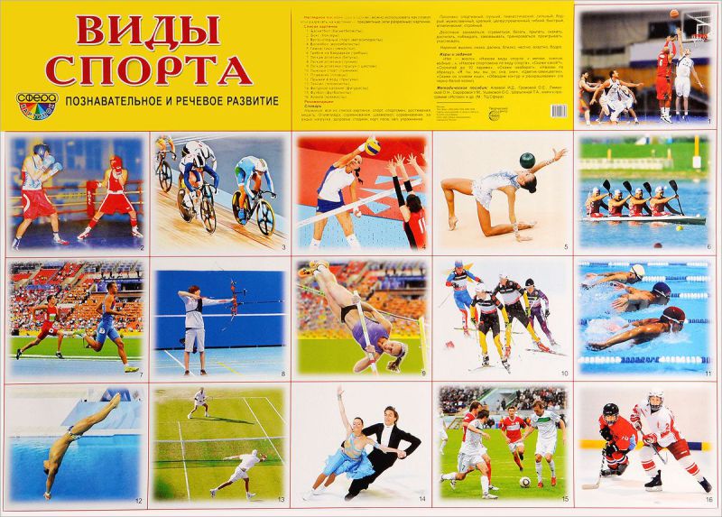 Обложка книги Демонстрационный плакат Виды спорта /А2, Автор , издательство Сфера | купить в книжном магазине Рослит