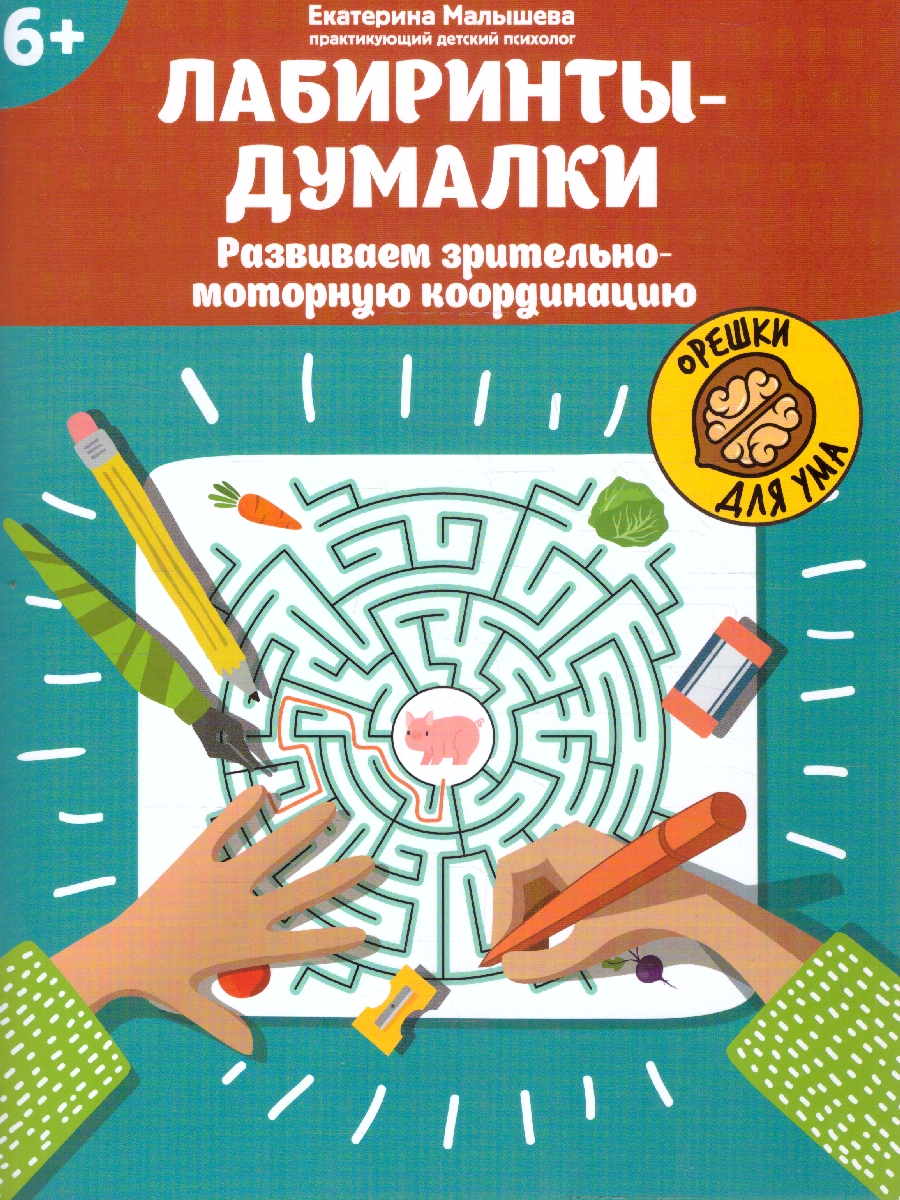 Обложка книги Лабиринты-думалки. Развиваем зрительно-моторную координацию, Автор Малышева Е. С., издательство Феникс ТД                                          | купить в книжном магазине Рослит