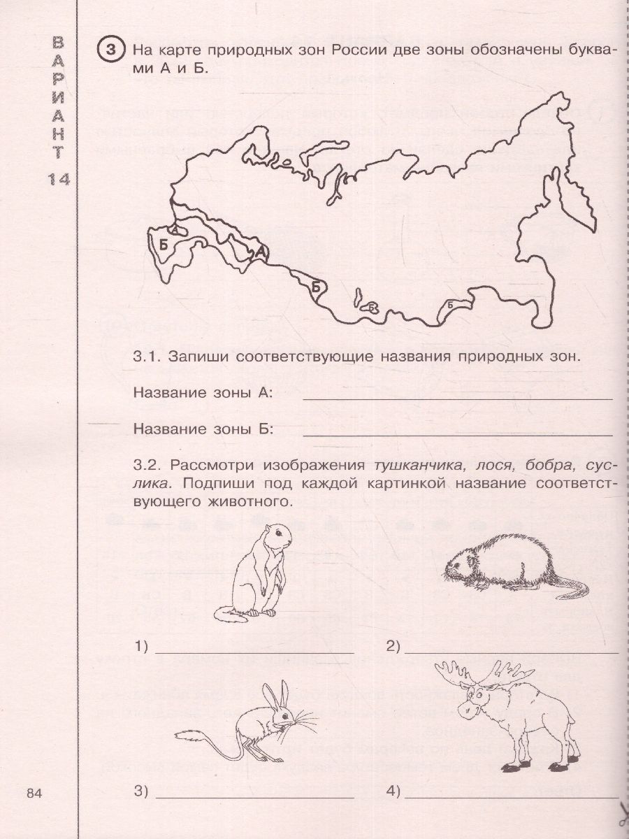 Обложка книги Окружающий мир за курс начальной школы. Интенсивная подготовка к ВПР, Автор Узорова О.В., издательство АСТ | купить в книжном магазине Рослит