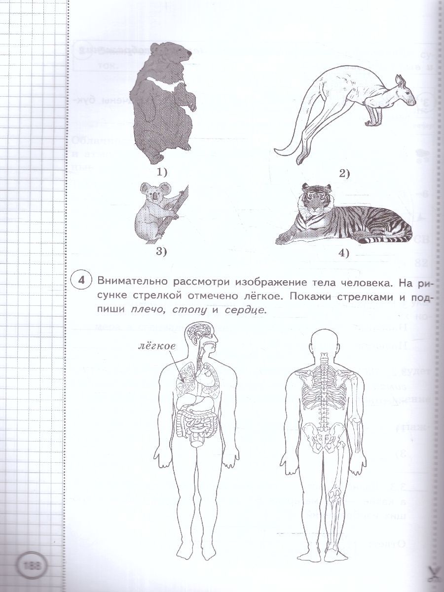 картинка ВПР Окружающий мир 4 класс 25 вариантов. Типовые задания. ФГОС (с новыми картами) от магазина Рослит