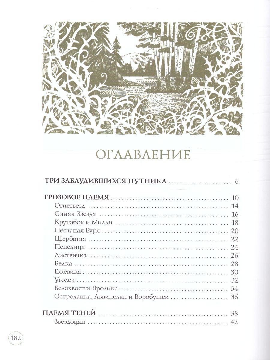 Обложка Подарок. Герои племен / Коты-воители, издательство Просвещение/Союз                                   | купить в книжном магазине Рослит
