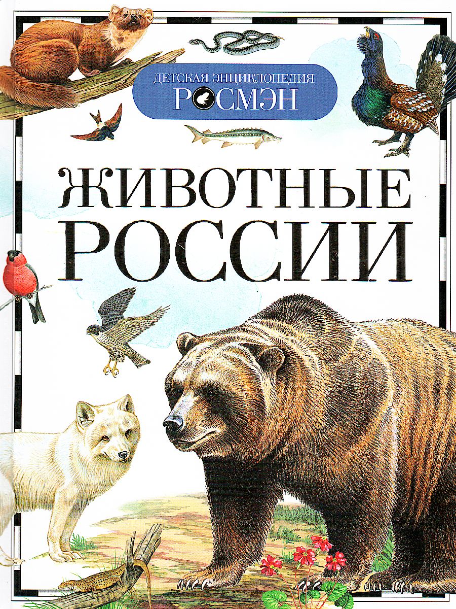 Обложка Животные России, издательство РОСМЭН | купить в книжном магазине Рослит