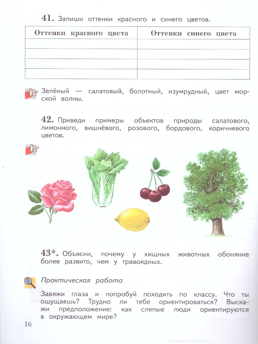 Обложка книги Окружающий мир 3 класс. Рабочая тетрадь. Комплект в 2-х частях. Часть 1. К новому учебному пособию, Автор Виноградова Н. Ф., издательство Просвещение/Союз                                   | купить в книжном магазине Рослит